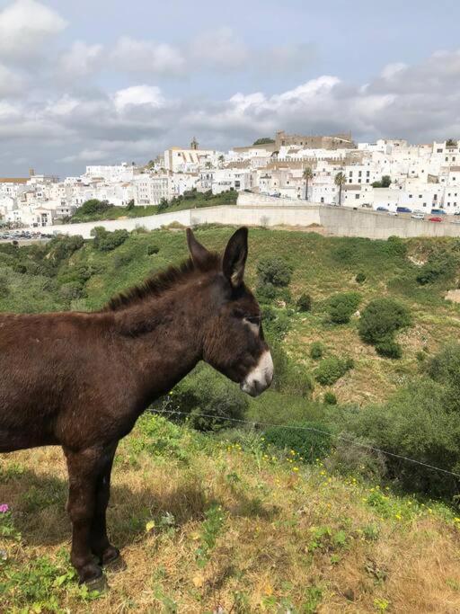 Casita Tacande - Una Bonita Casita Situada En El Casco Antiguo De Vejer De La Frontera Ngoại thất bức ảnh